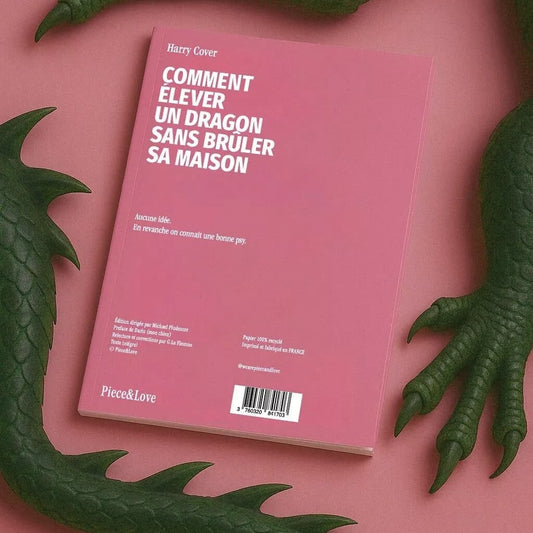 Carnet Dragon drôle pour écrire ou offrir à 10,90€