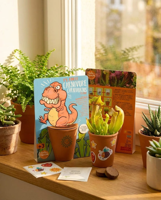 Kit plantation enfant – pot décoré avec stickers dinosaures