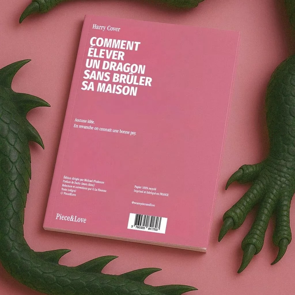 Carnet Dragon drôle pour écrire ou offrir à 10,90€