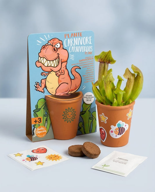 Coffret graines plante carnivore avec T-Rex – activité enfant