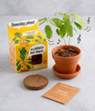 Pot en terre cuite avec plante qui danse et kit de jardinage enfant