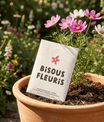 Bisous Fleuris - Sachet de Graines de Cosmos