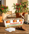 Kit jardinage trio piments forts jalapeno serrano cayenne